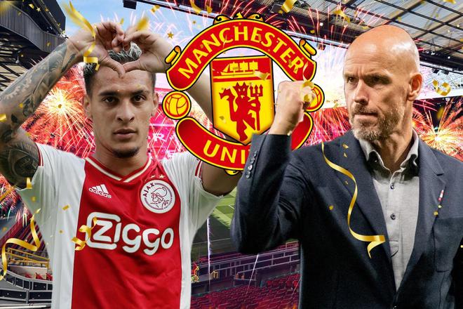 的高度认可 的高度认可